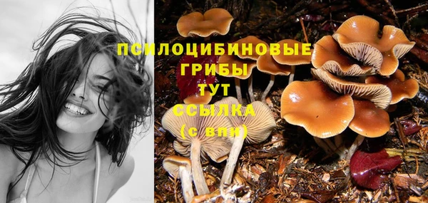 гашишное масло Арсеньев