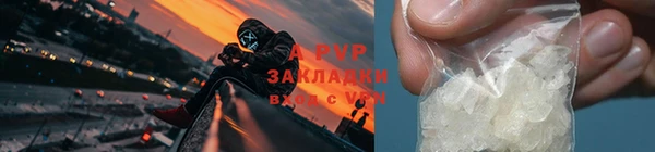 амф Аркадак